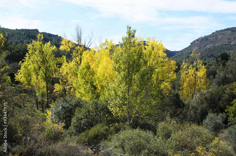 Fototapeta premium comienza el otoño