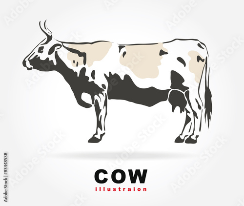 Cow.