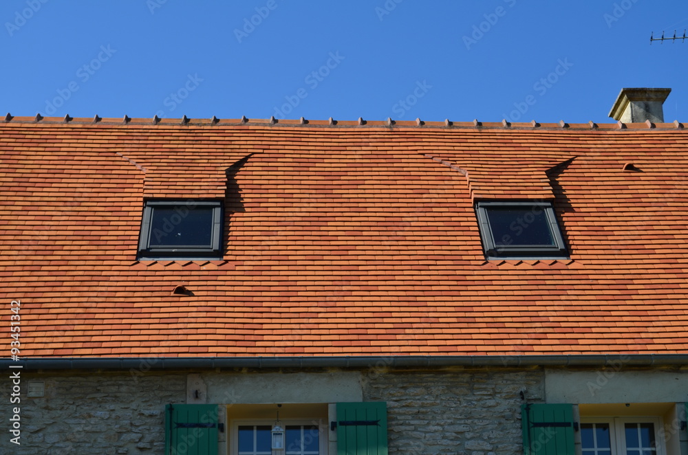Toiture neuve avec deux fenêtres. Toiture neuve avec deux fenêtres.