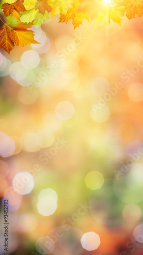 Autumnal fall in the forest, abstract environmental backgrounds