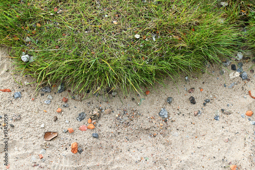 Riverside Beach Closeup