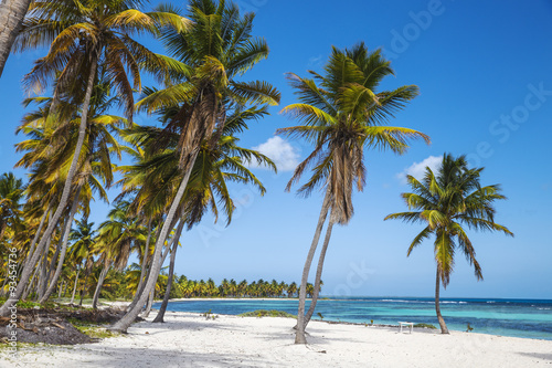 Canto de la Playa, Saona Island, Parque Nacional del Este, Punta Cana, Dominican Republic #93454736