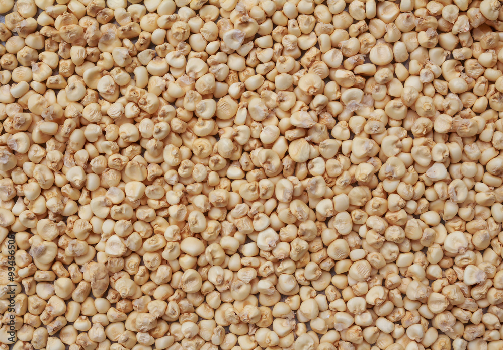 Seed corn Seed corn