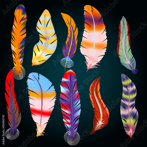 Vector set of feathers