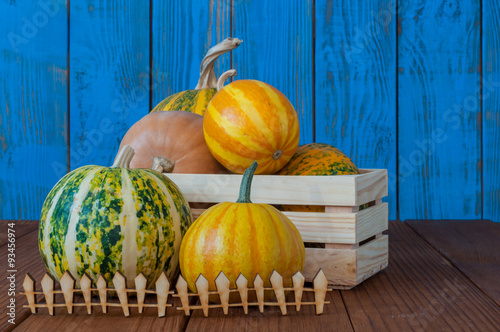 Harvest pumpkins set in wooden box behind a fence, on blue wood photo
