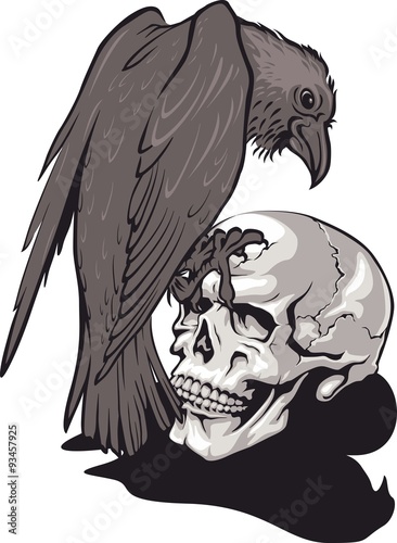 Raven sitting on human skull. Vector illustration. Tattoo style
