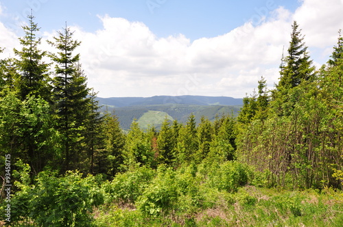 Landschaft Th  ringer Wald