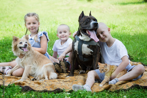 Photography Sister and brother playing with a dogs and a cat