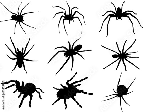 Halloween Spiders © sichimsergiu