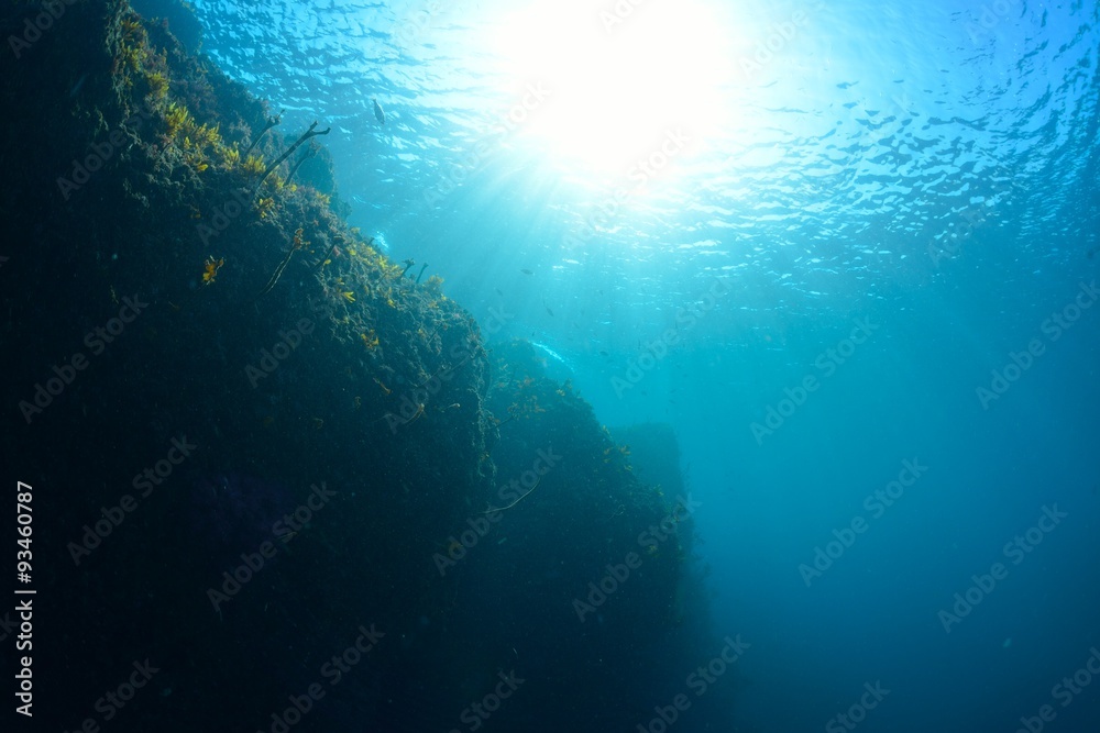 葉山の海