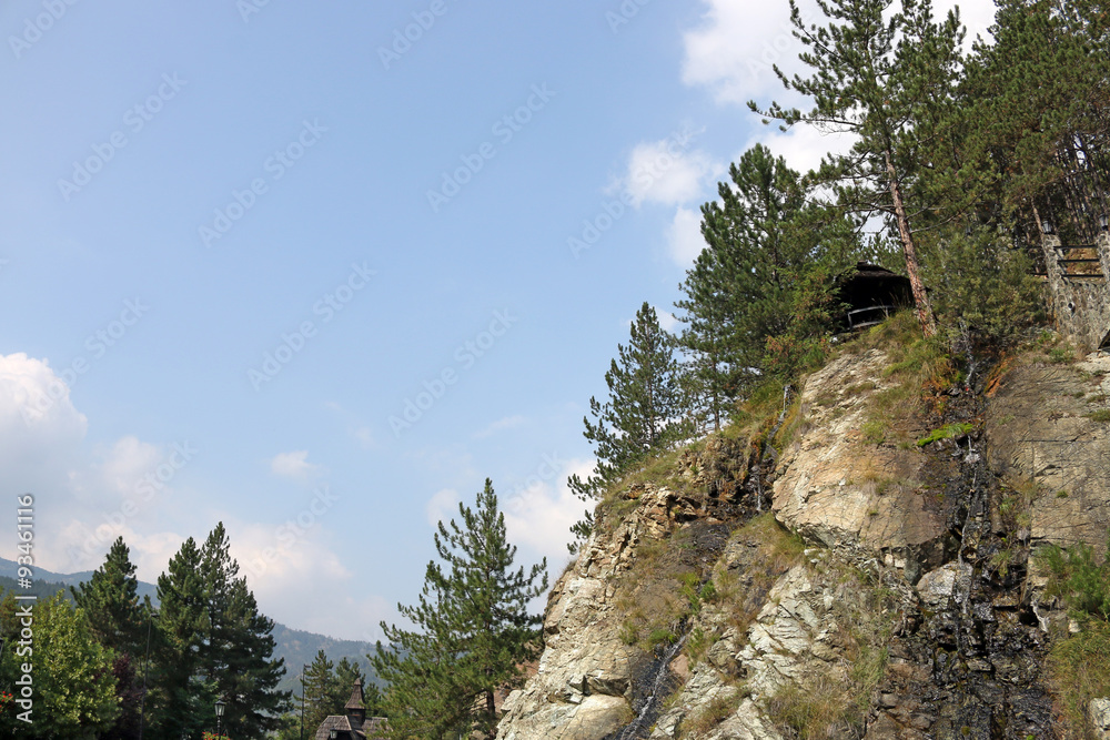 pine trees and rocks mountain landscape