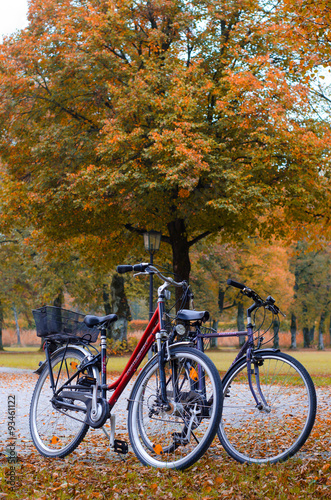 Two bicycles in autumn park
