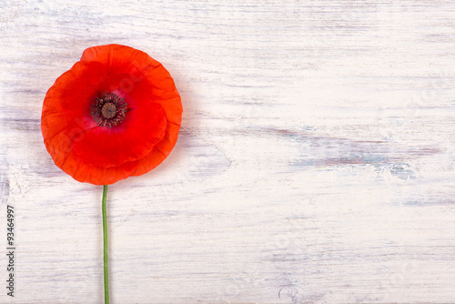 Fototapeta Naklejka Na Ścianę i Meble -  poppy on old white wooden table closeup