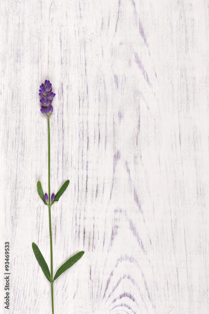 Naklejka premium lavender flower on white wood table background