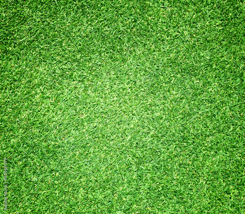 Obraz premium Golf Courses green lawn