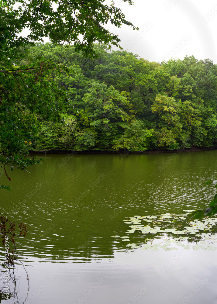 beautiful flow of the river in the spring beautiful flow of the river in the spring