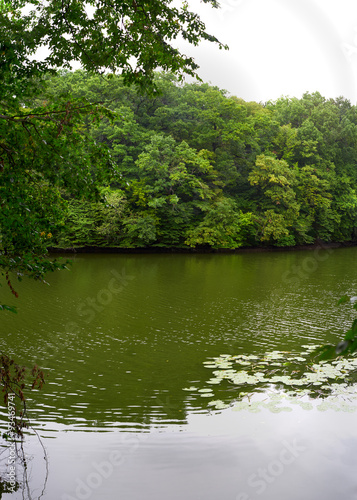 beautiful flow of the river in the spring