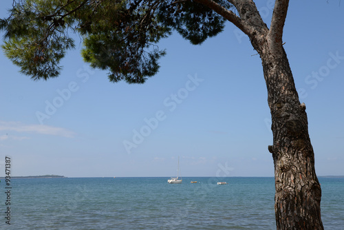 Küste bei Fazana, Istrien, Kroatien
