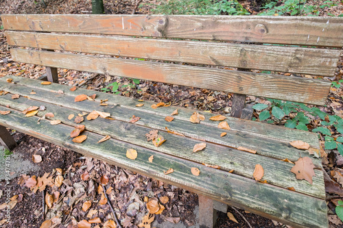 Bank aus Holz mit Laub