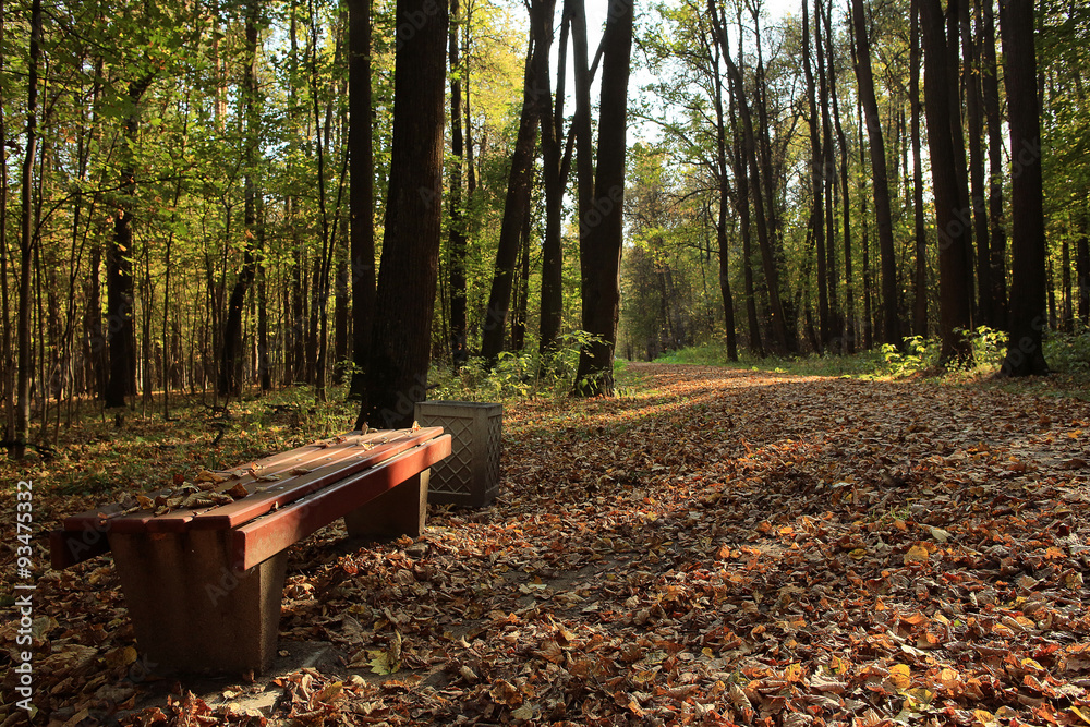 bench in the autumn park, recreation bench in the autumn park, recreation
