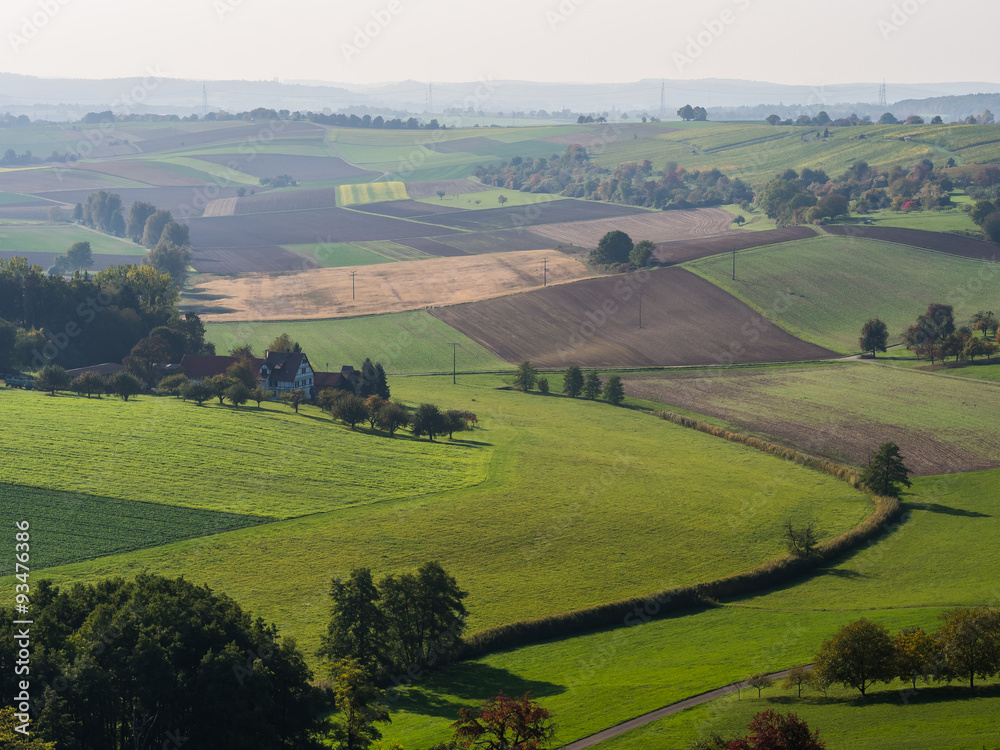 Agrarlandschaft mit Obstbäumen Agrarlandschaft mit Obstbäumen
