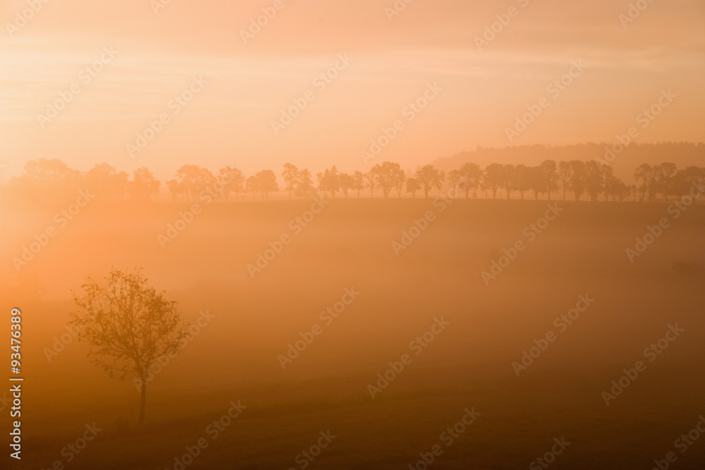 Misty morning sunrise