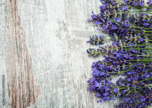 lavender flowers