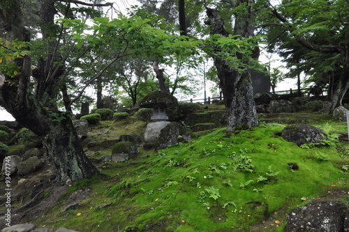 森 公園 苔