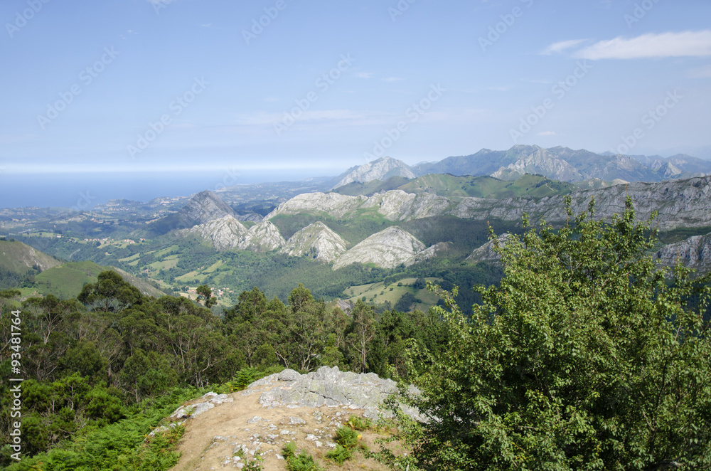 Fototapeta premium Asturian landscape 4