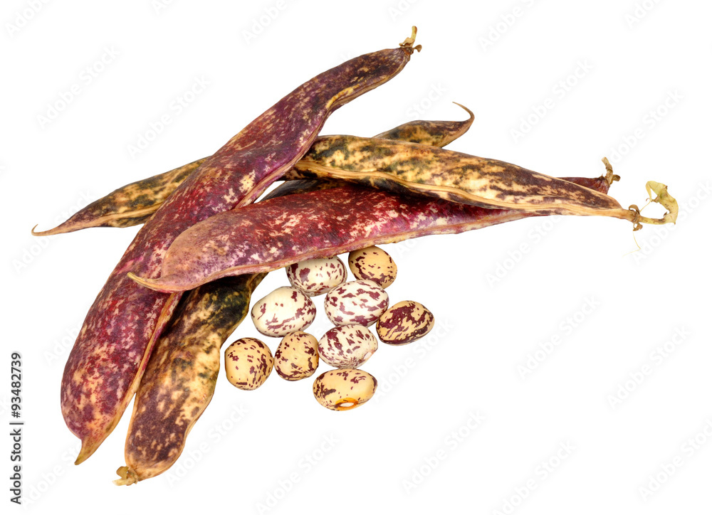 Obraz premium Borlotti Beans