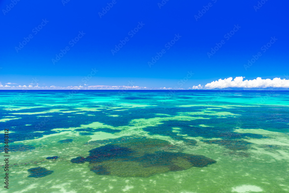 Beautiful coast with coral reef