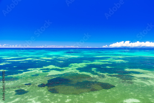 Beautiful coast with coral reef