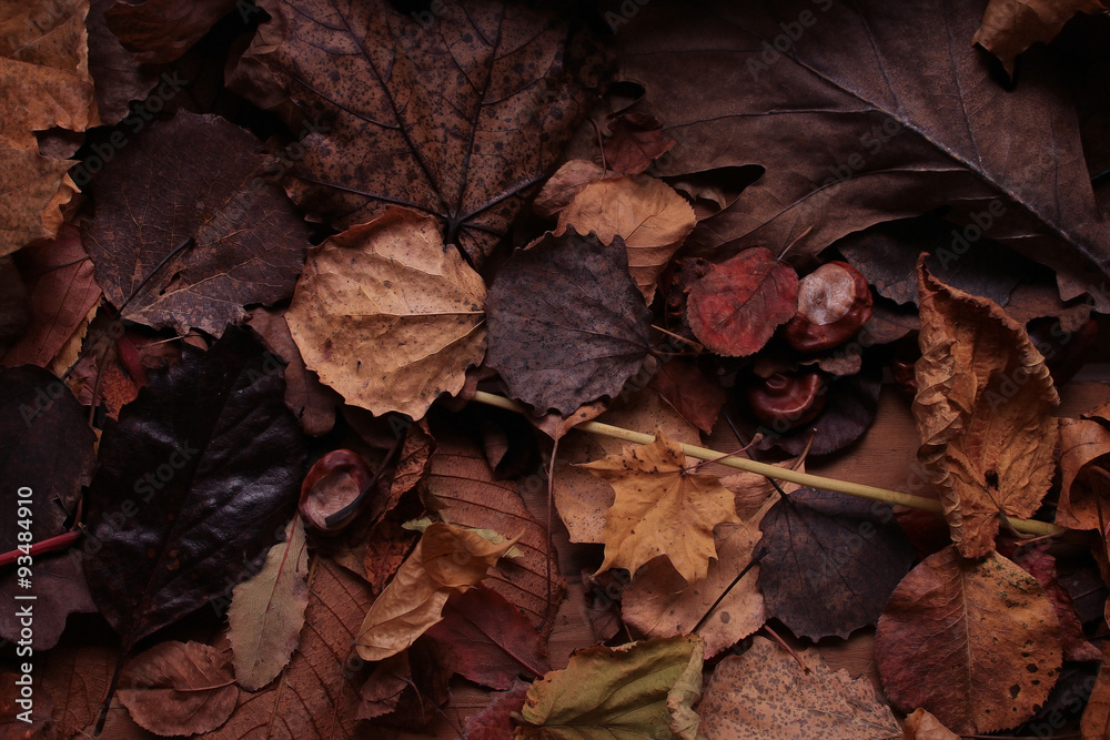 background texture of yellow leaves autumn leaf background background texture of yellow leaves autumn leaf background