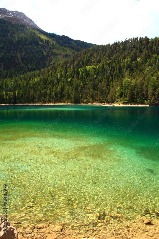Fototapeta premium Hiedleswald