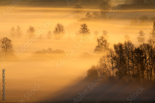 Herbstlandschaft