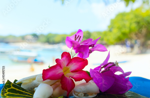 Collage ofwhite shells and flowers photo