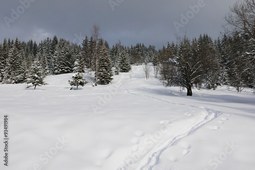 traces de ski dans la neige