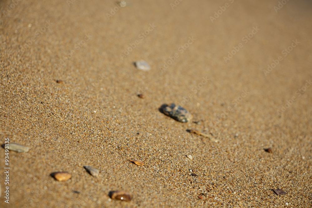 Wet sand closeup with blur, abstract background. Wet sand closeup with blur, abstract background.