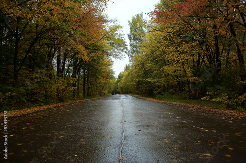 Autumn road landscape