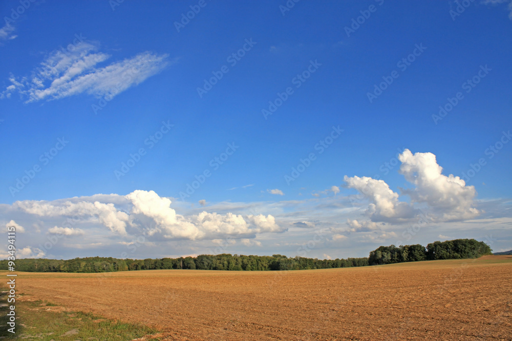 Field after Harvest