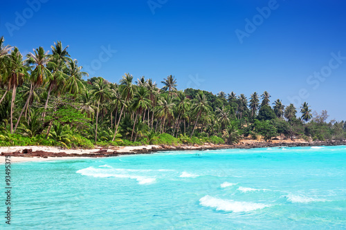 Palm trees in tropical perfect beach at Koh Kood , Thailand