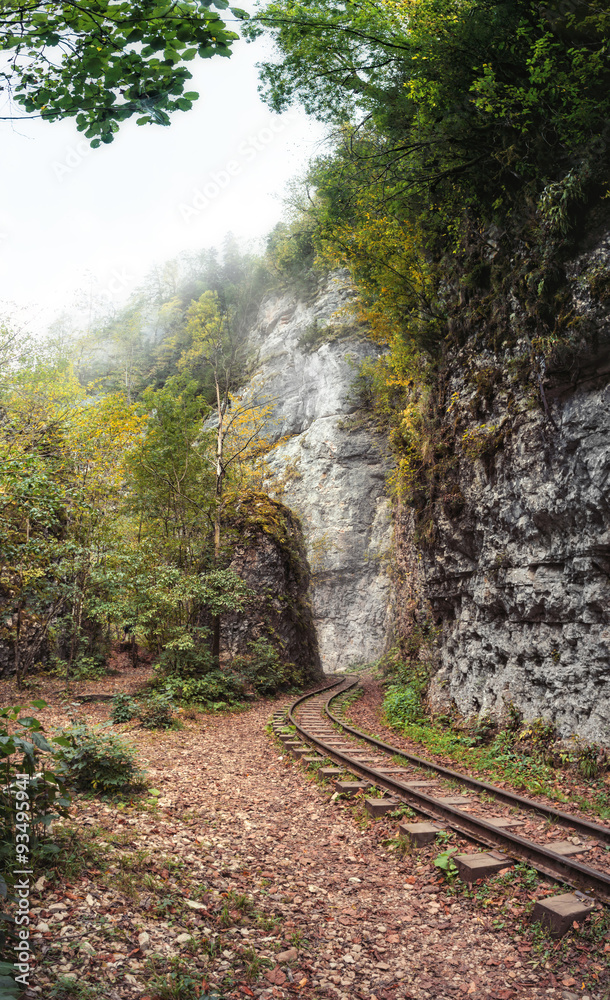 Narrow-gauge railway in Guam gorge. Narrow-gauge railway in Guam gorge.