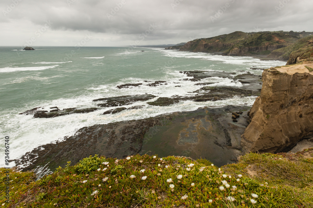 Obraz premium Waitakere Ranges coastline