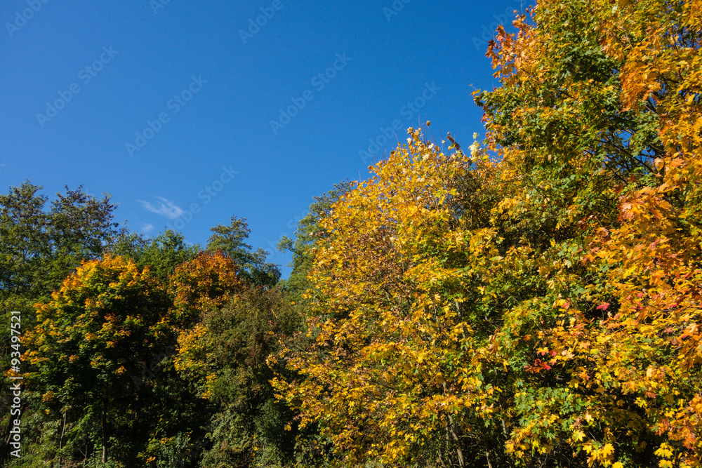 Herbstkulisse Herbstkulisse