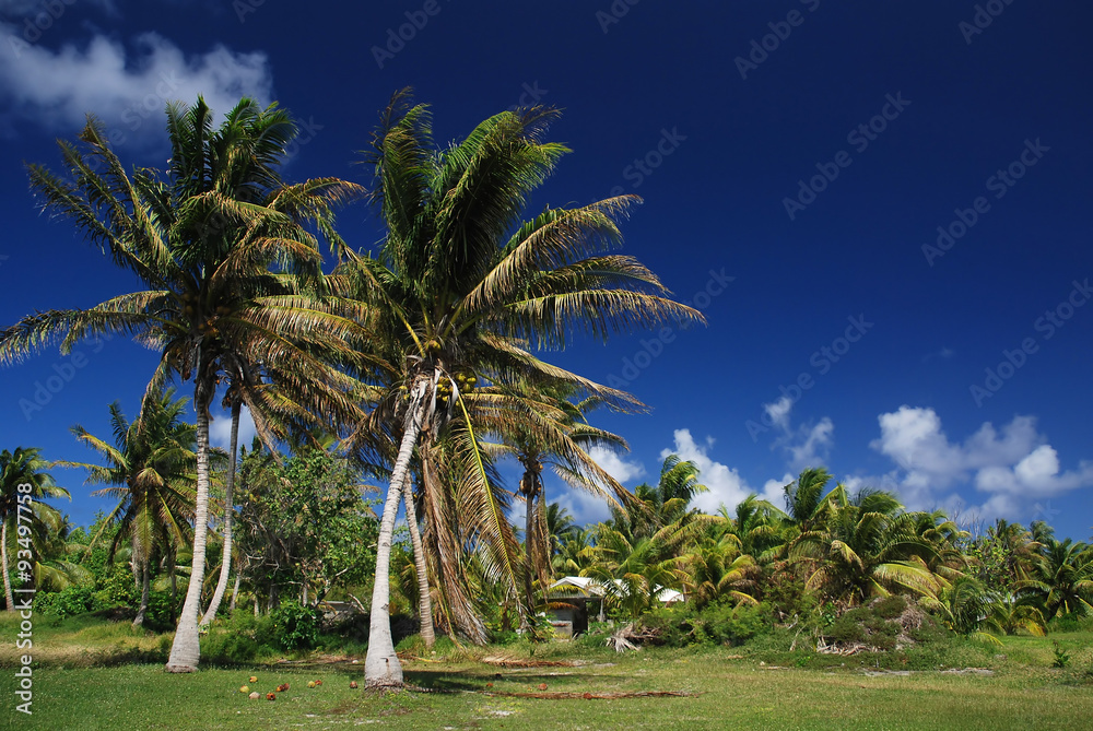 Tropical island of French Polynesia
