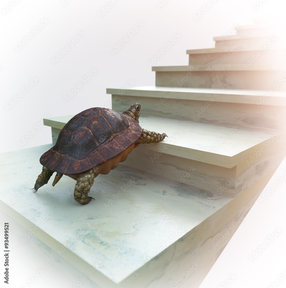 Fototapeta premium moving turtle wants to climb on the stairs concept background