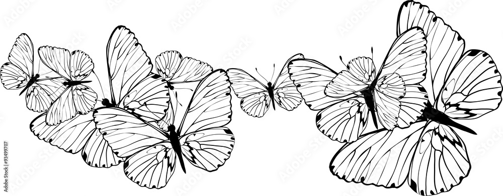 Fototapeta Abstract butterflies background