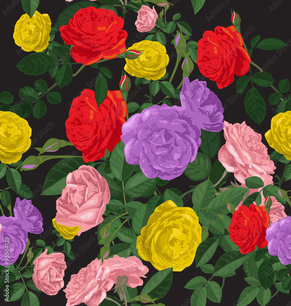 rose rose
