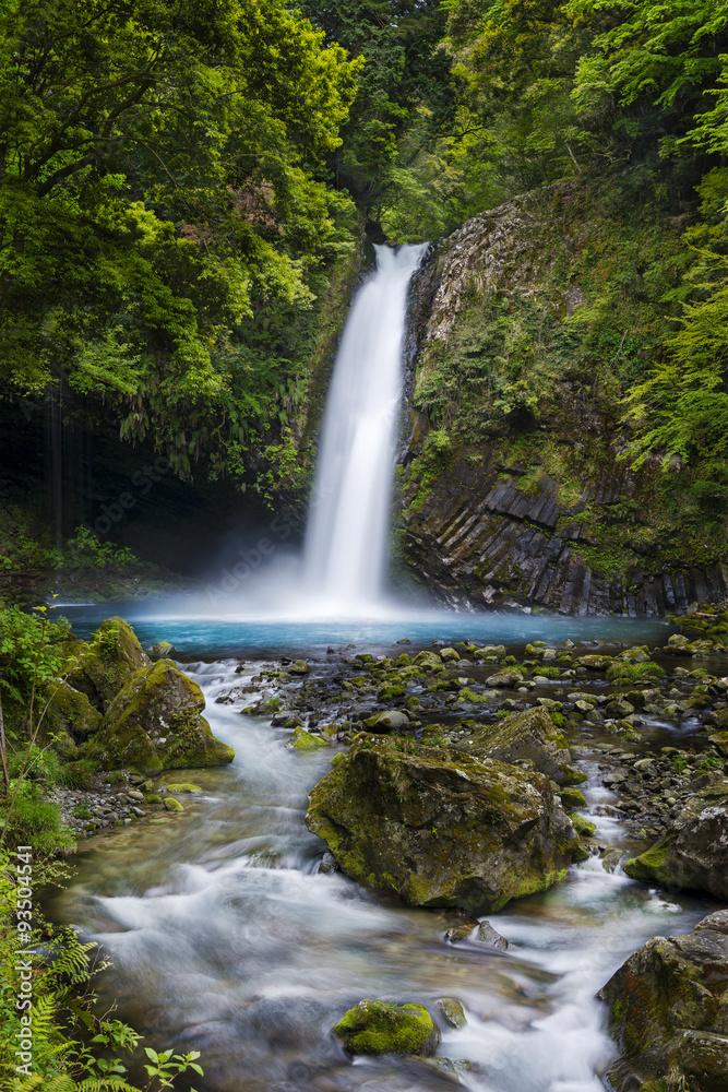 Fototapeta premium Japoński wodospad Wodospad Izu Joren