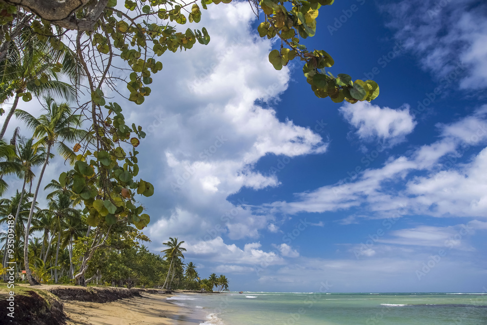 Caribbean beach with palm trees and blue sky